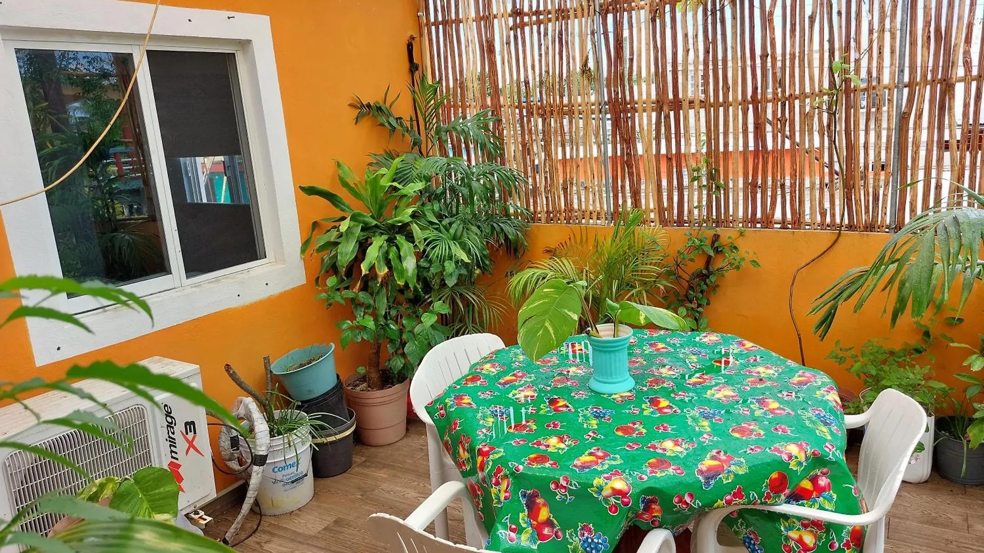 Homestay 4 Habitacion Cozumel