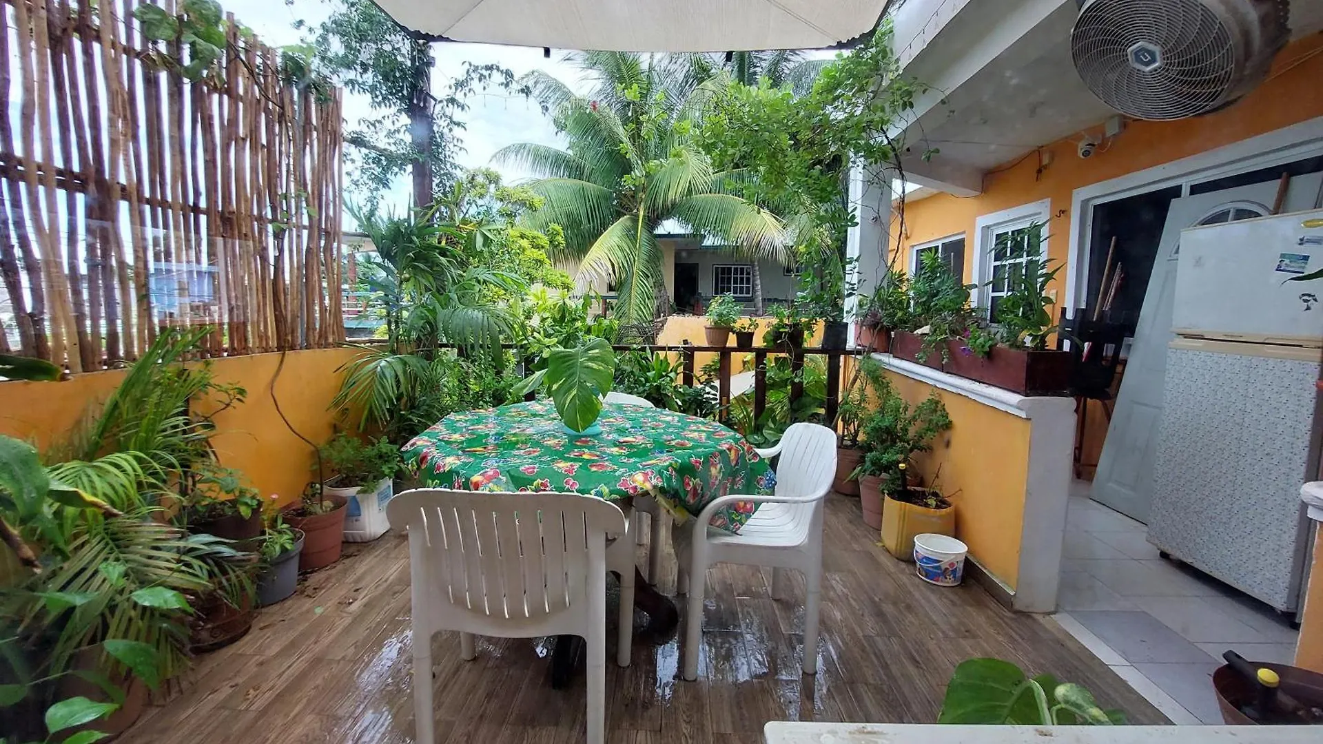 Homestay 4 Habitacion Cozumel Mexico